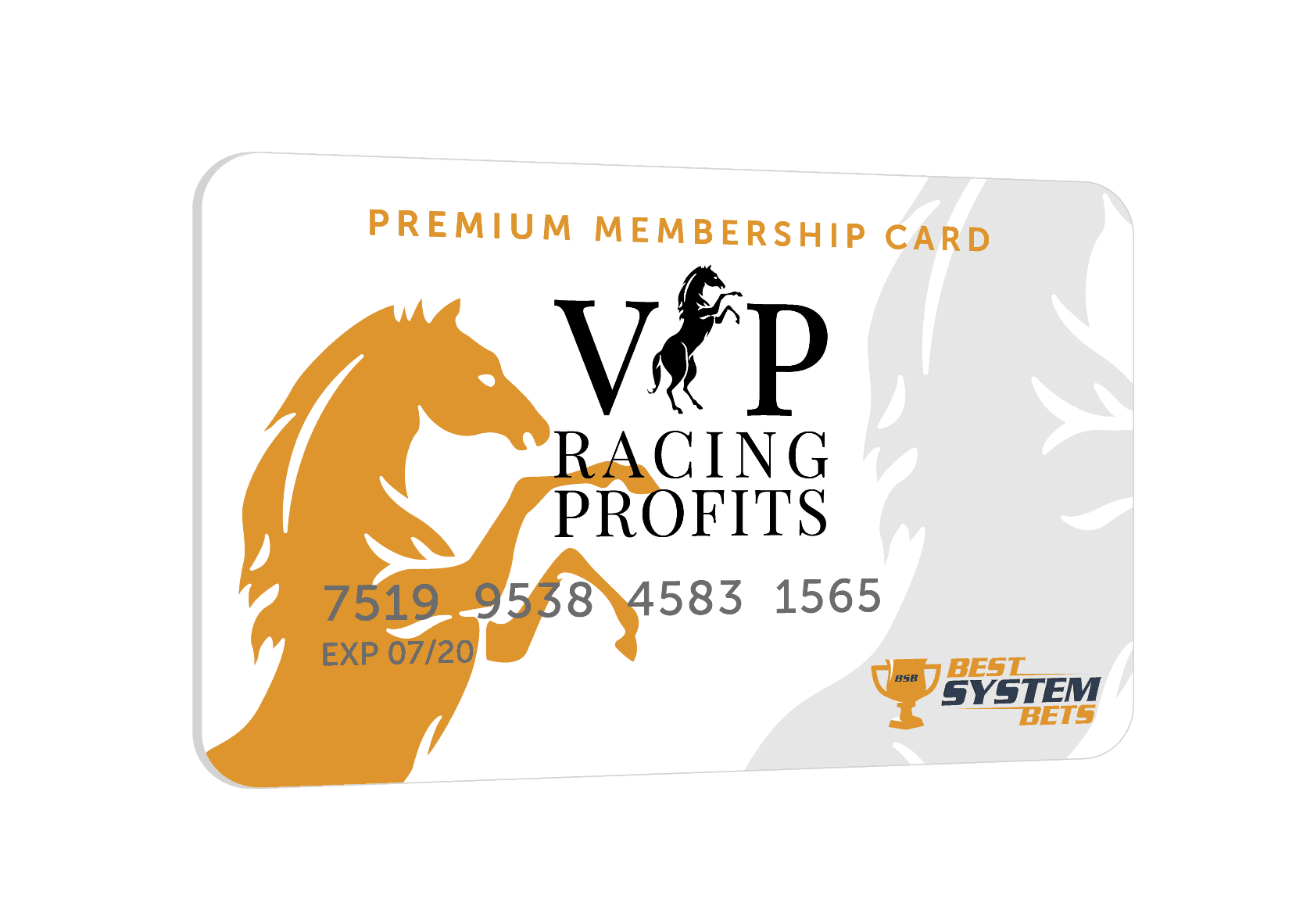 VIP Racing Profits Membership Card