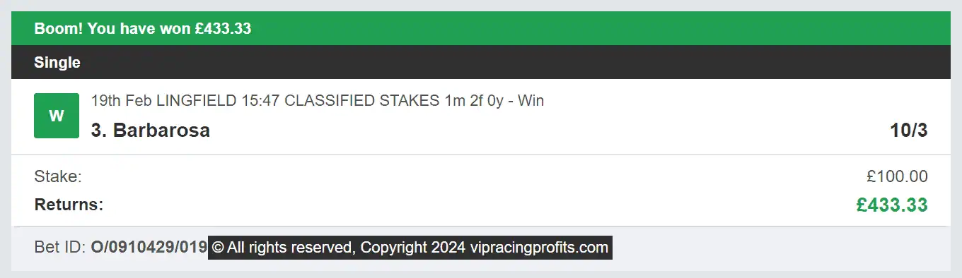 VIP Racing Profits - Winner 2 - 2024-02-19