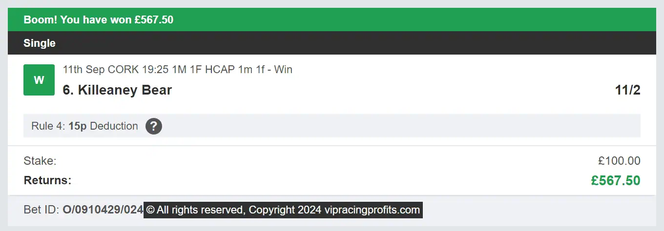 VIP Racing Profits - Winner 2 - 2024-09-11